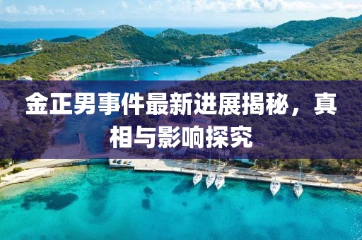 金正男事件最新進(jìn)展揭秘，真相與影響探究