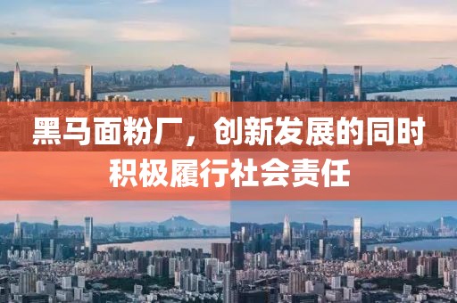 黑馬面粉廠，創(chuàng)新發(fā)展的同時積極履行社會責任