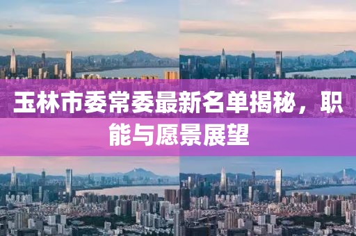 玉林市委常委最新名單揭秘，職能與愿景展望