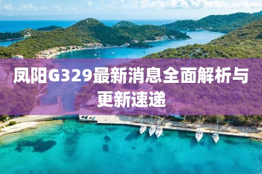 鳳陽G329最新消息全面解析與更新速遞