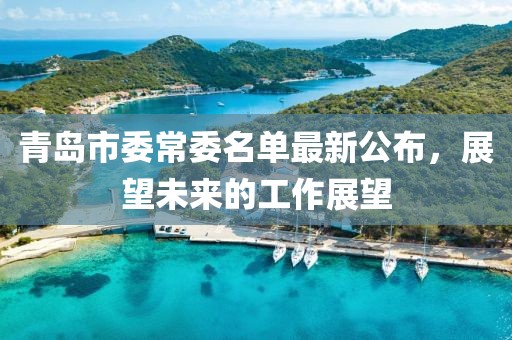 青島市委常委名單最新公布，展望未來的工作展望