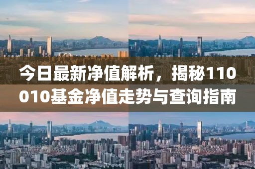 今日最新凈值解析，揭秘110010基金凈值走勢(shì)與查詢指南