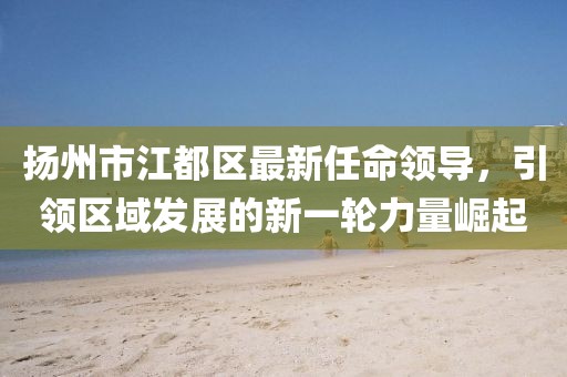 揚州市江都區(qū)最新任命領(lǐng)導(dǎo)，引領(lǐng)區(qū)域發(fā)展的新一輪力量崛起