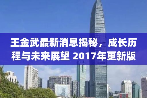 王金武最新消息揭秘，成長歷程與未來展望 2017年更新版