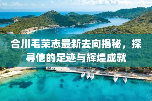 合川毛榮志最新去向揭秘，探尋他的足跡與輝煌成就