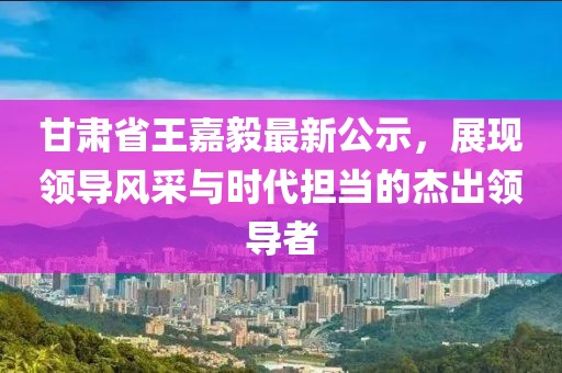 甘肅省王嘉毅最新公示，展現(xiàn)領導風采與時代擔當?shù)慕艹鲱I導者