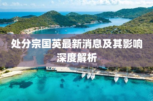 處分宗國(guó)英最新消息及其影響深度解析