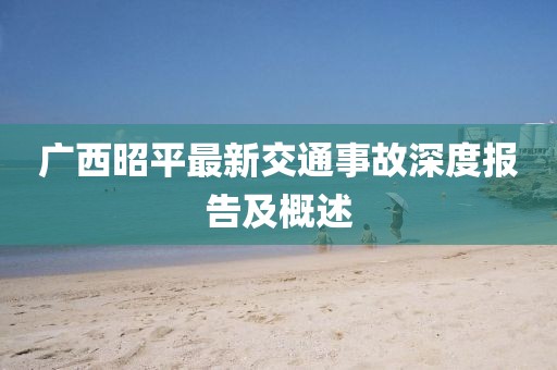 廣西昭平最新交通事故深度報(bào)告及概述