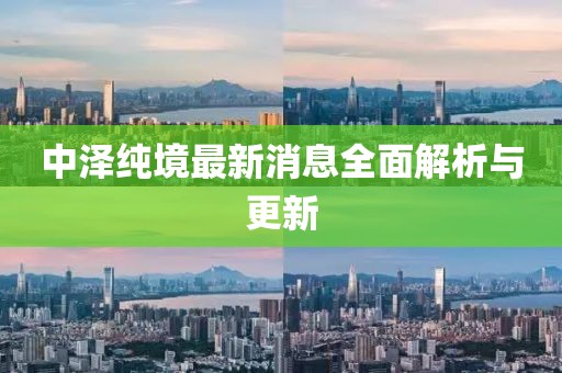 中澤純境最新消息全面解析與更新