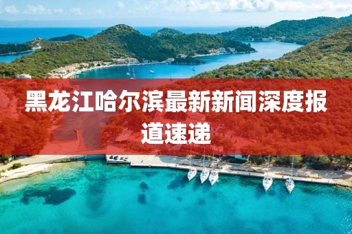 黑龍江哈爾濱最新新聞深度報道速遞