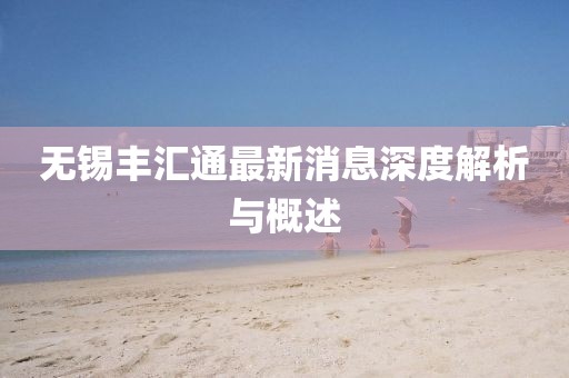 無錫豐匯通最新消息深度解析與概述