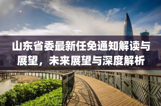 山東省委最新任免通知解讀與展望，未來(lái)展望與深度解析