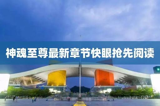 神魂至尊最新章節(jié)快眼搶先閱讀