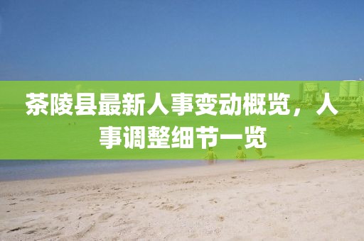 茶陵縣最新人事變動概覽，人事調整細節(jié)一覽