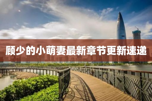 顧少的小萌妻最新章節(jié)更新速遞