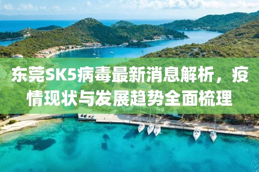 東莞SK5病毒最新消息解析，疫情現(xiàn)狀與發(fā)展趨勢(shì)全面梳理