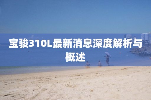 寶駿310L最新消息深度解析與概述