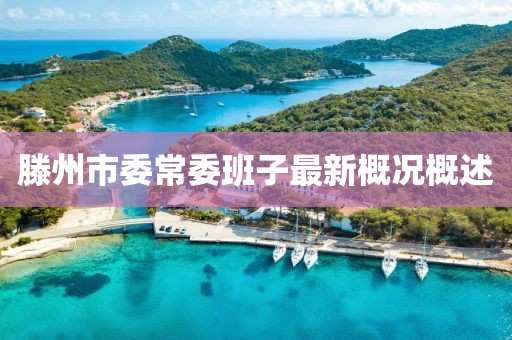 滕州市委常委班子最新概況概述