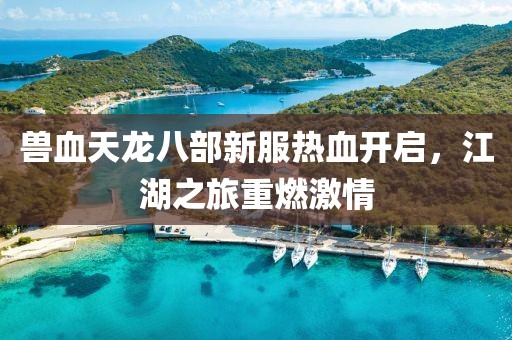 獸血天龍八部新服熱血開啟，江湖之旅重燃激情