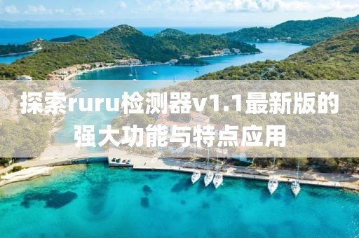 探索ruru檢測器v1.1最新版的強(qiáng)大功能與特點(diǎn)應(yīng)用