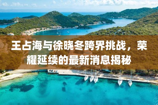 王占海與徐曉冬跨界挑戰(zhàn)，榮耀延續(xù)的最新消息揭秘