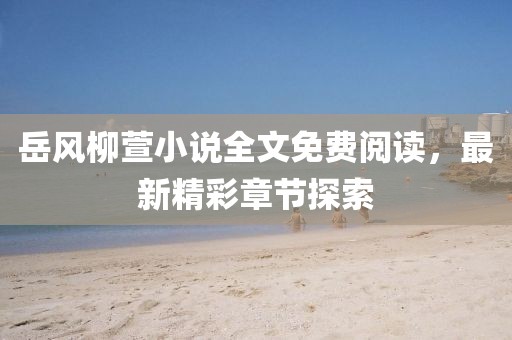 岳風(fēng)柳萱小說(shuō)全文免費(fèi)閱讀，最新精彩章節(jié)探索