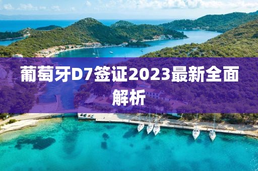 葡萄牙D7簽證2023最新全面解析