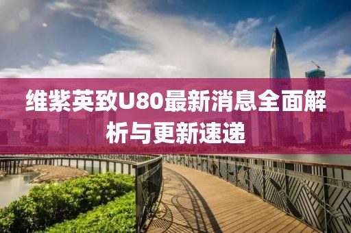 維紫英致U80最新消息全面解析與更新速遞