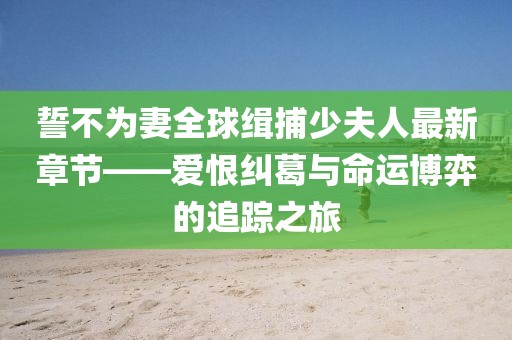 誓不為妻全球緝捕少夫人最新章節(jié)——愛恨糾葛與命運(yùn)博弈的追蹤之旅