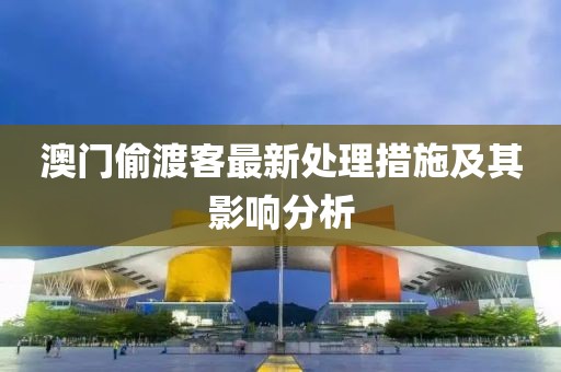 澳門偷渡客最新處理措施及其影響分析