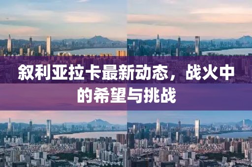 敘利亞拉卡最新動(dòng)態(tài)，戰(zhàn)火中的希望與挑戰(zhàn)