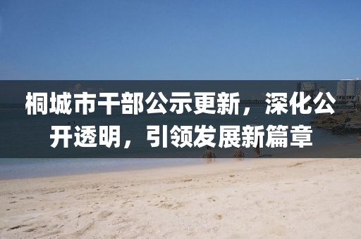桐城市干部公示更新，深化公開透明，引領(lǐng)發(fā)展新篇章