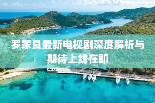 羅家良最新電視劇深度解析與期待上線在即