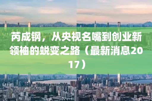 芮成鋼，從央視名嘴到創(chuàng)業(yè)新領袖的蛻變之路（最新消息2017）