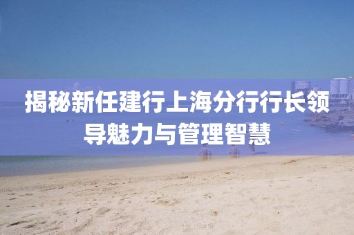 揭秘新任建行上海分行行長領(lǐng)導(dǎo)魅力與管理智慧