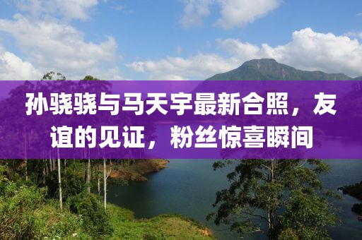 孫驍驍與馬天宇最新合照，友誼的見證，粉絲驚喜瞬間