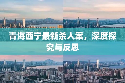 青海西寧最新殺人案，深度探究與反思