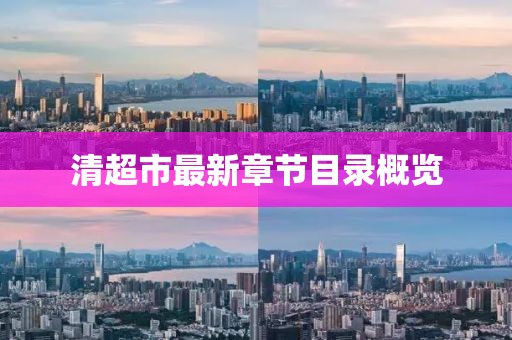 清超市最新章節(jié)目錄概覽