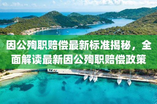 因公殉職賠償最新標(biāo)準(zhǔn)揭秘，全面解讀最新因公殉職賠償政策