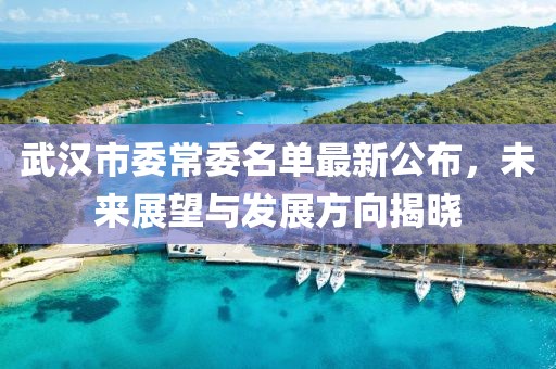 武漢市委常委名單最新公布，未來展望與發(fā)展方向揭曉