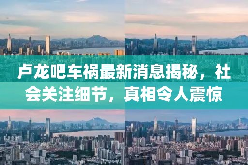 盧龍吧車(chē)禍最新消息揭秘，社會(huì)關(guān)注細(xì)節(jié)，真相令人震驚