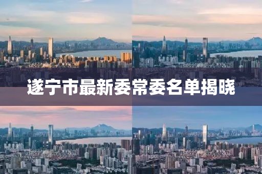 遂寧市最新委常委名單揭曉