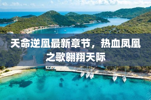 肆戰(zhàn)作王 第20頁