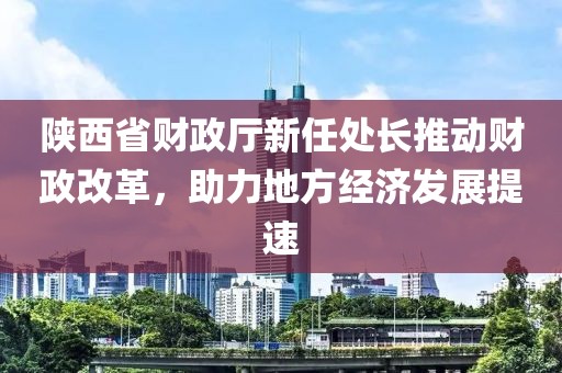陜西省財政廳新任處長推動財政改革，助力地方經(jīng)濟發(fā)展提速