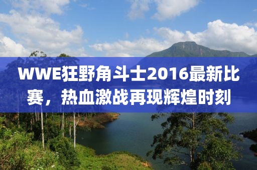 WWE狂野角斗士2016最新比賽，熱血激戰(zhàn)再現(xiàn)輝煌時(shí)刻