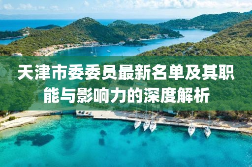 天津市委委員最新名單及其職能與影響力的深度解析