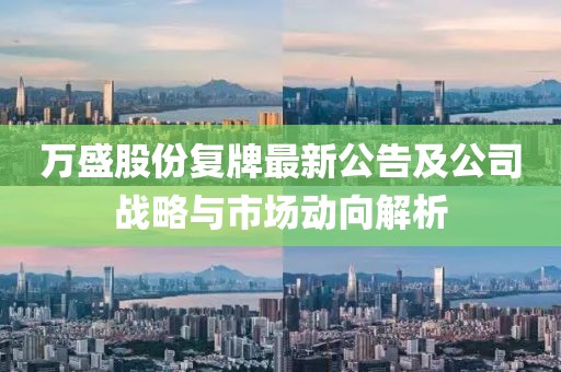 萬盛股份復(fù)牌最新公告及公司戰(zhàn)略與市場動向解析