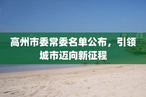 高州市委常委名單公布，引領(lǐng)城市邁向新征程