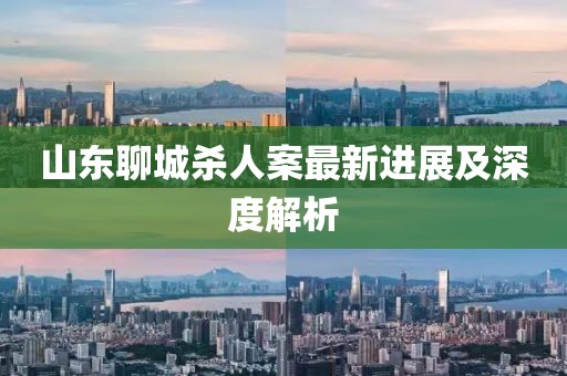 山東聊城殺人案最新進展及深度解析