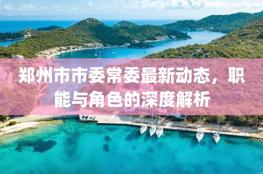 鄭州市市委常委最新動(dòng)態(tài)，職能與角色的深度解析